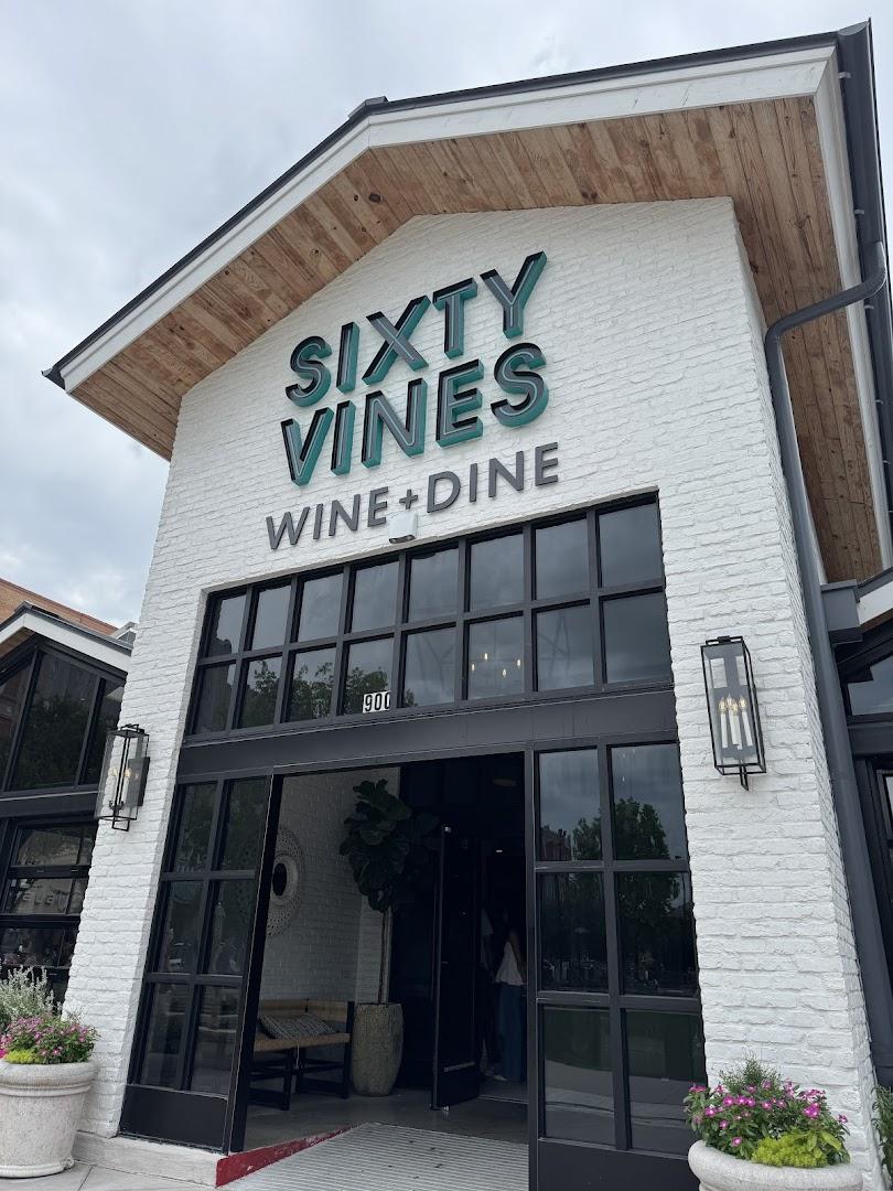 Sixty Vines